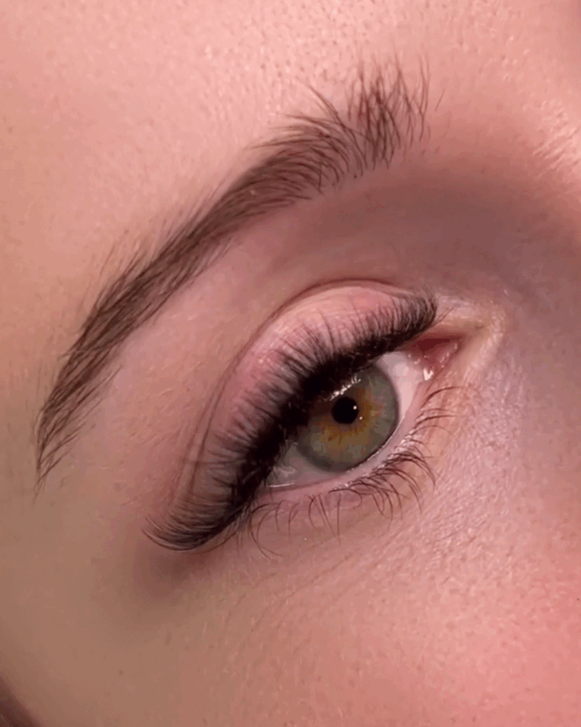 Bild zeigt WImpern im Rahmen der Wimpernverlängerung in Leonberg
